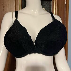 Torrid Bra